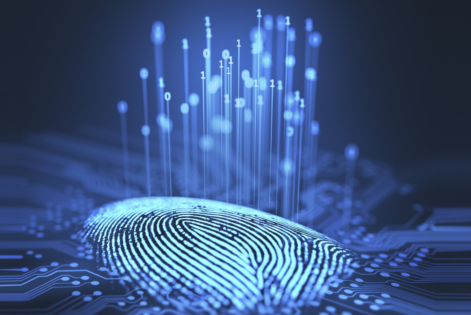 PENTEST HİZMETİ 